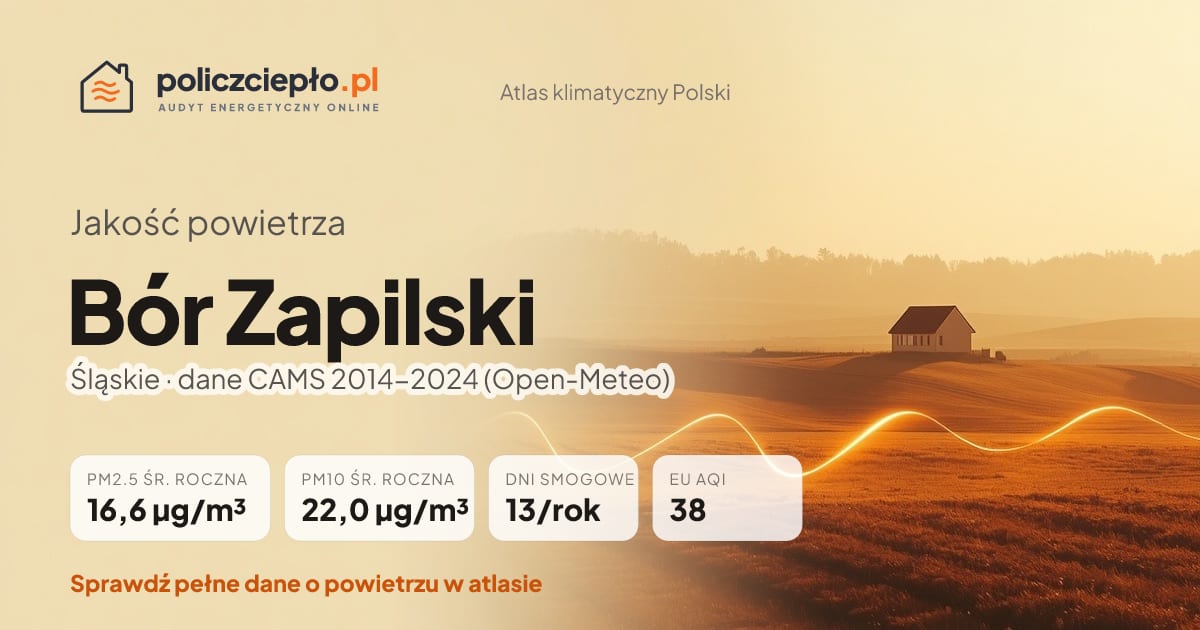 Jakość powietrza Bór Zapilski (Śląskie) - infografika: PM2.5 16,6 µg/m³, PM10 22,0 µg/m³, 13 dni smogowych rocznie (CAMS 2014-2024)